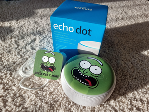 Amazon Echo Dot (Pickle Rick Fan Art)